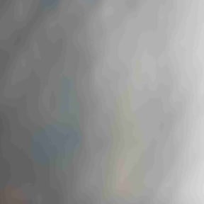 Bush Trimming by AYS Lawncare reviewed on April 25, 2024