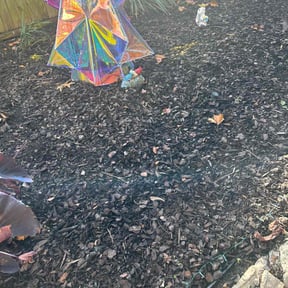 Flower Bed Weeding by Bay Land &amp; Trees Llc. reviewed on December 1, 2025