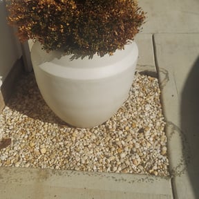 Leaf Removal by Junk360 reviewed on September 10, 2025