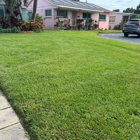landscaping by Friendly Neighborhood Lawn Care reviewed on August 15, 2025