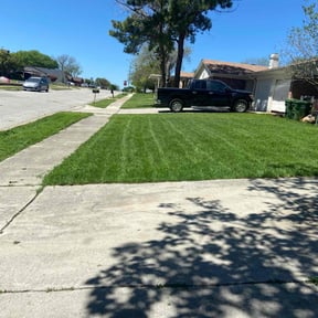 landscaping by Davino Handy Services reviewed on August 15, 2025