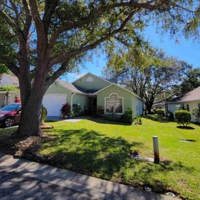 gardening service by Cut'N Edge reviewed on December 11, 2025