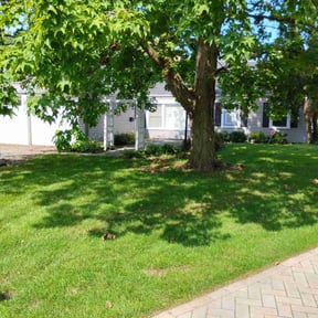 turf care by A/K Supreme Property LLC reviewed on May 4, 2025