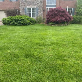 landscaping by Quality Lawn Care reviewed on August 18, 2025