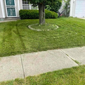 grass maintenance by Synthetic lawn care inc. reviewed on August 22, 2021