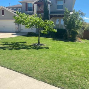 landscaping by Fiechtner Landscape Services reviewed on August 18, 2025