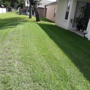 yard maintenance by C L reviewed on August 21, 2025