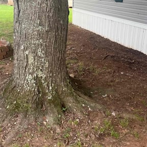 Leaf Removal by Mmm reviewed on September 28, 2025