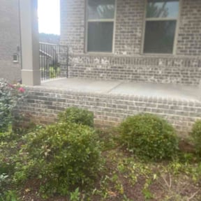 Bush Trimming by Patterson Lawn Care reviewed on June 20, 2026