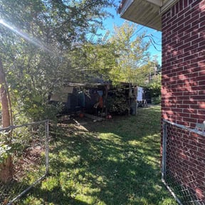 Bush Trimming by Blacksheep Ground Maintenance reviewed on November 10, 2025