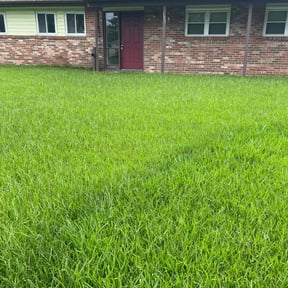 landscape maintenance by Earth Lawn Care LLC reviewed on August 21, 2025