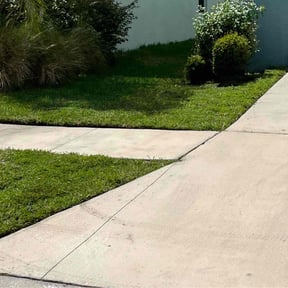 landscaping by JALER LLC reviewed on June 8, 2025