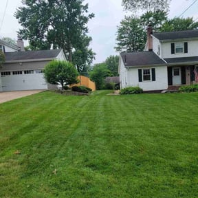 landscaping by The Trusted Edge reviewed on June 13, 2025