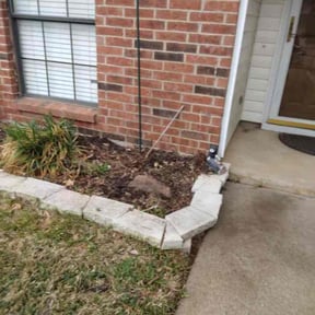 Flower Bed Weeding by Cartaya Lawnscaping reviewed on August 19, 2025