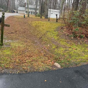 Leaf Removal by Corte de césped reviewed on December 10, 2025