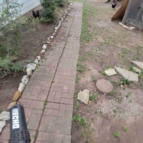 Leaf Removal by Services By Andy LLC reviewed on September 19, 2025