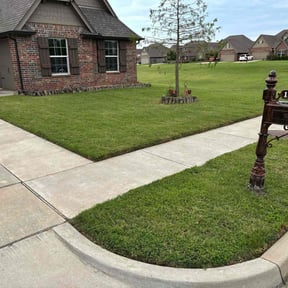 yard maintenance by D. Nelsons Lawn Care, LLC reviewed on August 15, 2025