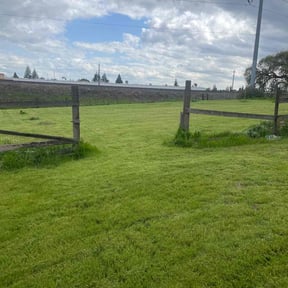 grass maintenance by # High-Class Grass reviewed on March 16, 2024