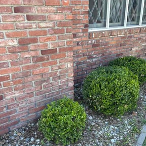 Bush Trimming by Affordable Lawn Care reviewed on May 24, 2026