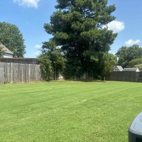residential landscaping by Sovereign Holding LLC reviewed on August 15, 2025