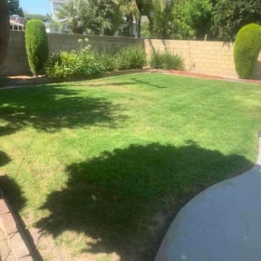 yard work by EP Remodeling LLC reviewed on August 17, 2025