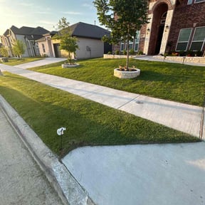 yard work by Handy Lew's reviewed on August 19, 2025