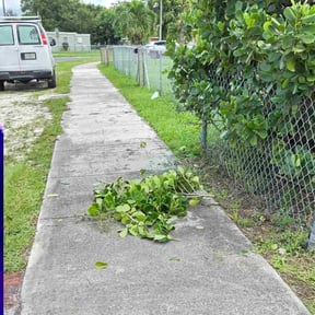 Bush Trimming by Holmes General Services reviewed on November 18, 2025