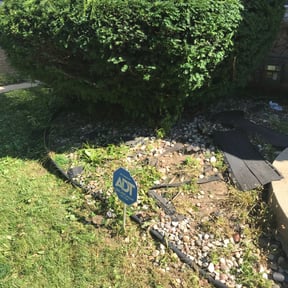 Bush Trimming by Catlin's Lawn Care reviewed on August 16, 2025