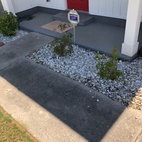 Bush Trimming by Perfection Home Services reviewed on August 16, 2025