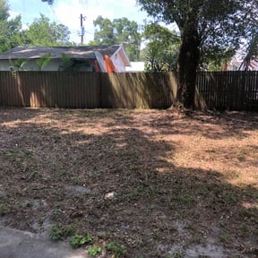 Leaf Removal by Tony&#039;s Rapid Repair reviewed on September 27, 2025