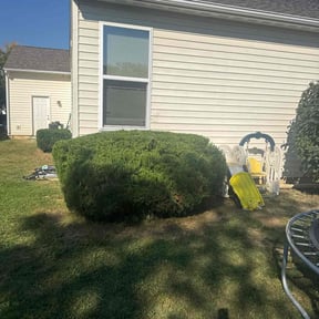 Bush Trimming by MowMasters reviewed on November 22, 2025