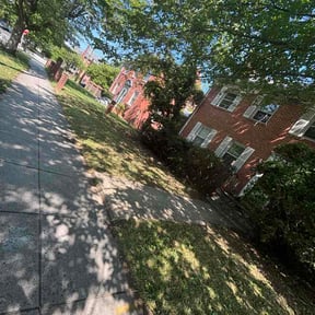 Bush Trimming by Elite Home Services reviewed on August 3, 2026