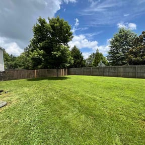 yard maintenance by Peter Camiolo reviewed on August 21, 2025