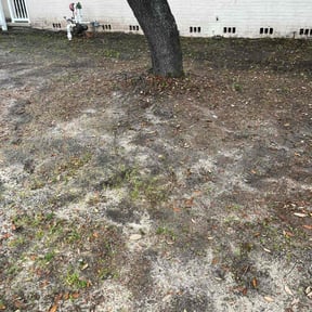 Leaf Removal by B’s Lawn care reviewed on September 27, 2025