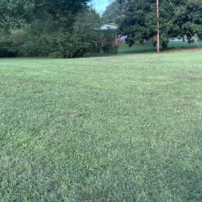 yard work by Green Lock Property Management reviewed on August 15, 2025