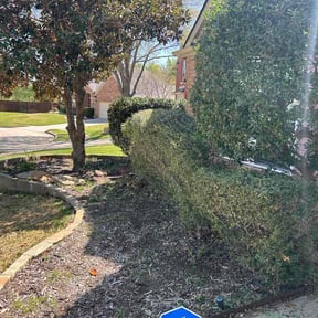 Bush Trimming by CNR Landscaping reviewed on May 7, 2026