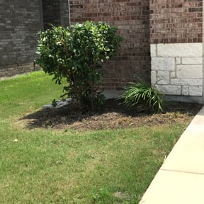 Bush Trimming by Integrity Lawn Care reviewed on August 21, 2025