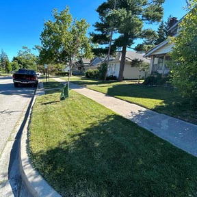landscape maintenance by Jose Perez Landscaping reviewed on August 15, 2025
