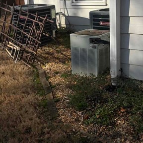 Flower Bed Weeding by Edis Marin reviewed on March 5, 2026