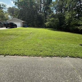 turf care by Tafolla Home Repairs and Landscaping reviewed on August 19, 2025