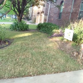 Bush Trimming by Foxes Yard Management reviewed on August 19, 2025