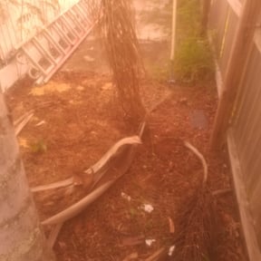 Flower Bed Weeding by A Cut Above Lawn and Fence reviewed on August 15, 2025