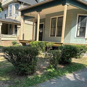 Bush Trimming by Zeke The Geek's Lawn Cutting Services reviewed on January 2, 2026