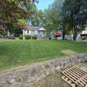 grass cutting by The Culture Biz LLC reviewed on November 2, 2024