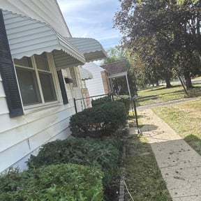 Bush Trimming by Paul Norman Services reviewed on December 10, 2025