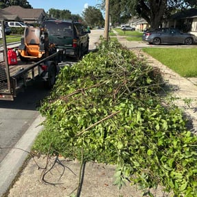 Leaf Removal by Lot Legends LLC reviewed on September 10, 2025