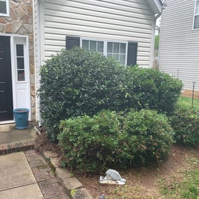 Bush Trimming by Advance Cutter Lawn Maintenance reviewed on August 15, 2025