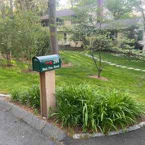 Lawn Seeding by Jordan&#039;s Lawn Service reviewed on June 2, 2020