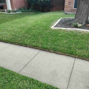 yard service by Jr's Landscaping reviewed on August 15, 2025
