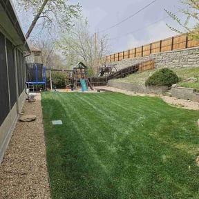 landscaping by The 303 Green Genie LLC reviewed on January 8, 2026